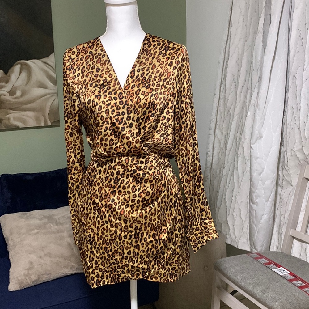 Zara Satin Cheata Mini  Dress